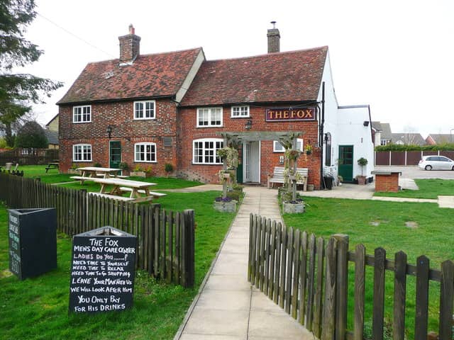 The Fox